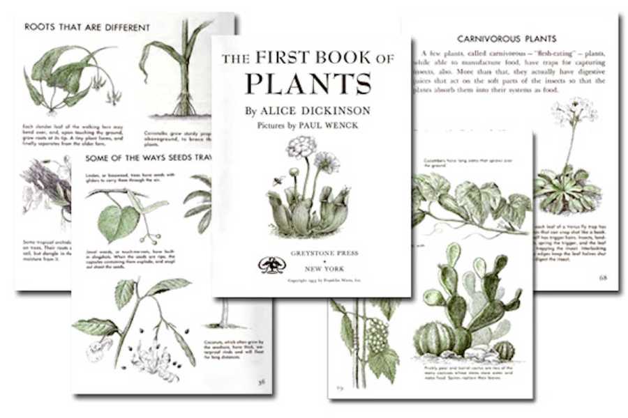 The First Book of Plants {Free eBook}
