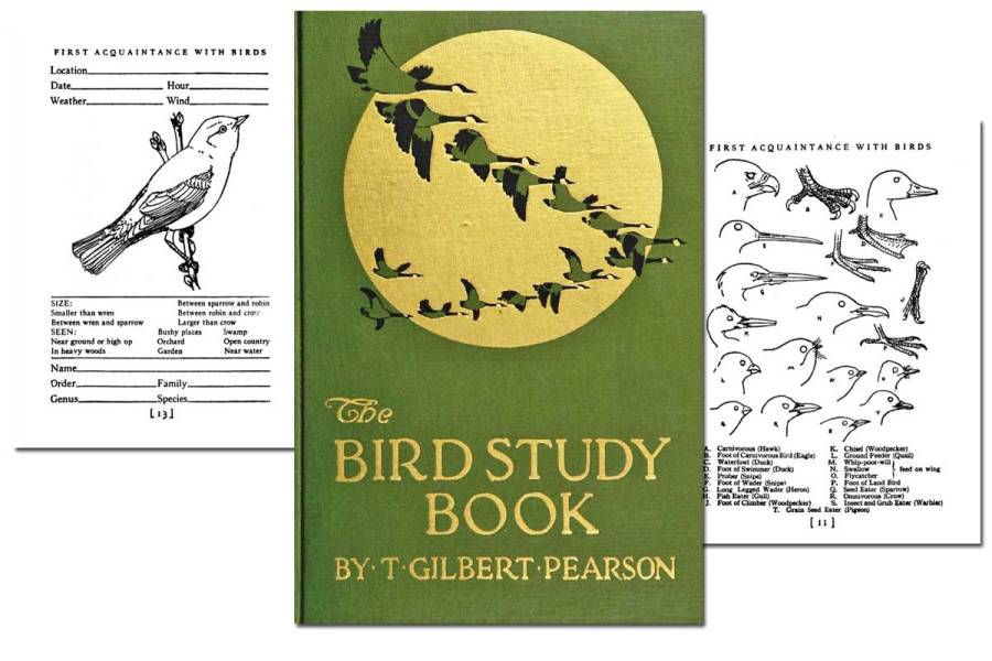 The Bird Study Book ~ Free eBook