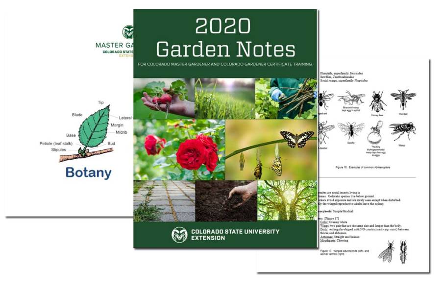 Garden Notes: Master Gardener Course ~ Free Download!