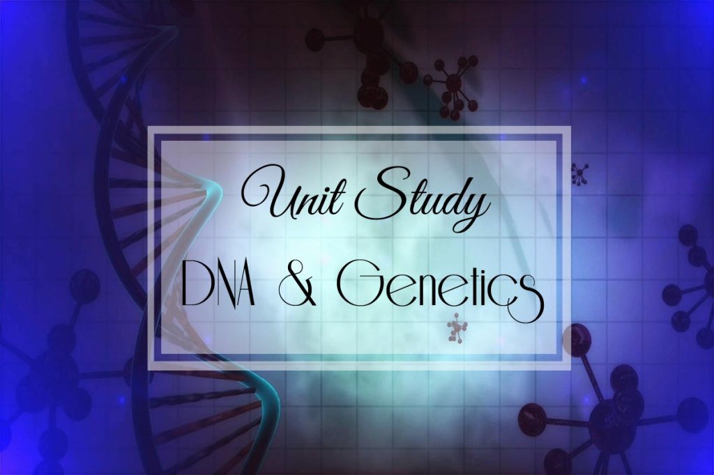 DNA & Genetics: A Unit Study
