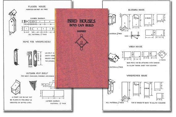 Bird Houses Boys Can Build {Free eBook}