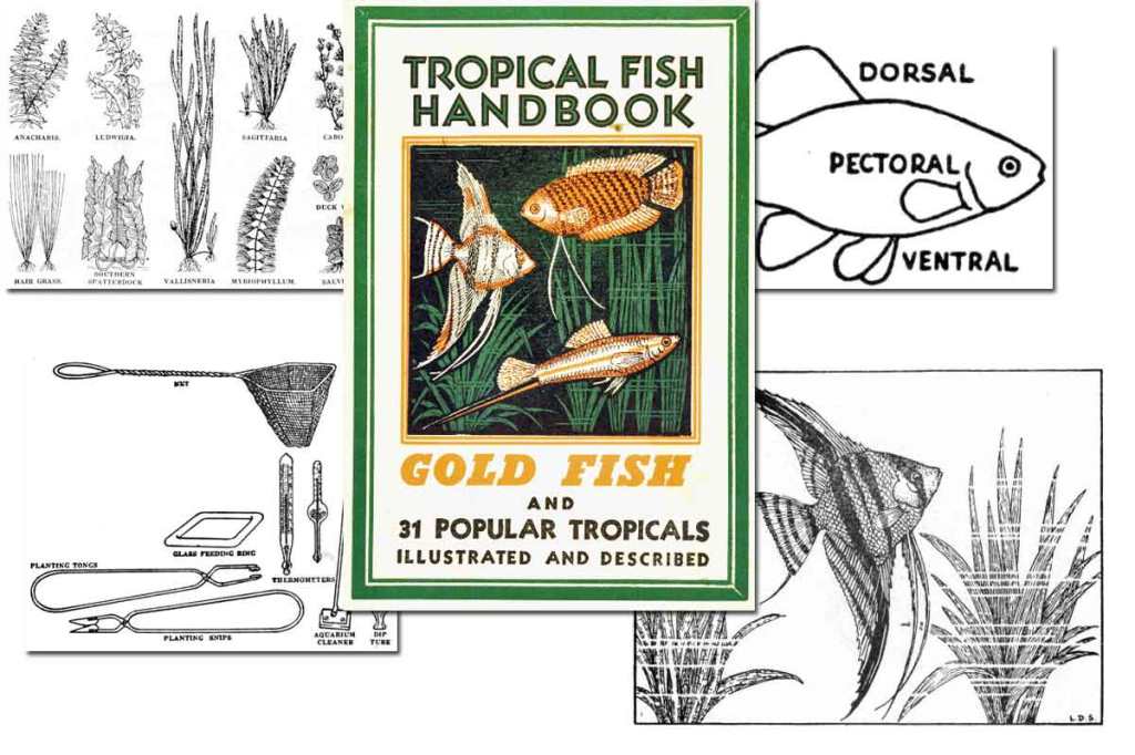 Tropical Fish Handbook ~ Free eBook