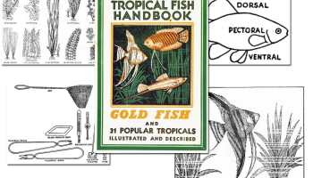 Tropical Fish Handbook ~ Free eBook