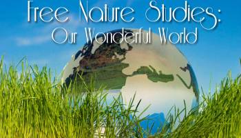 Free Nature Studies: Our Wonderful World