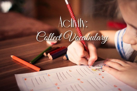 Activity: Collect Vocabulary