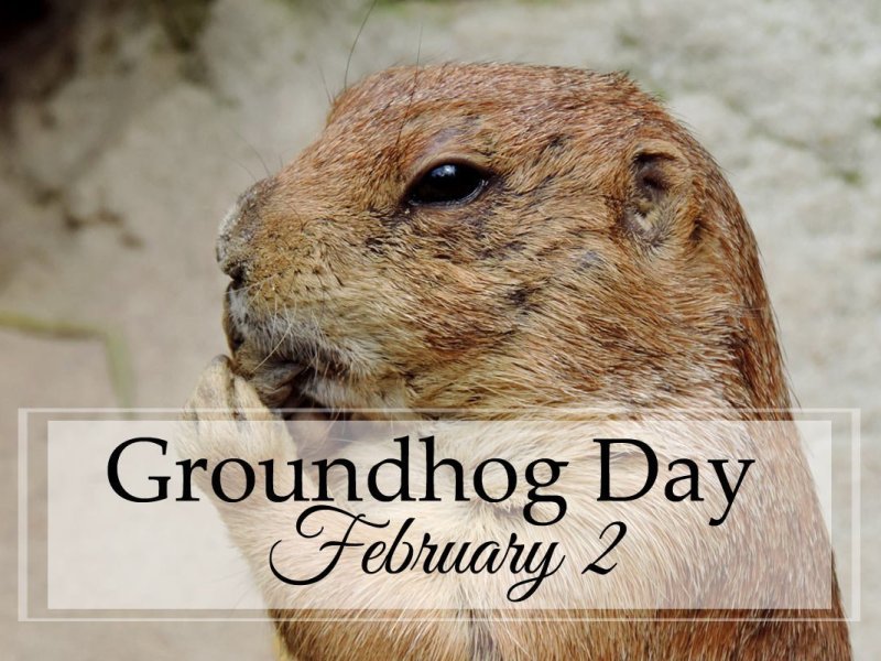 Groundhog Day Resources ~ 2023