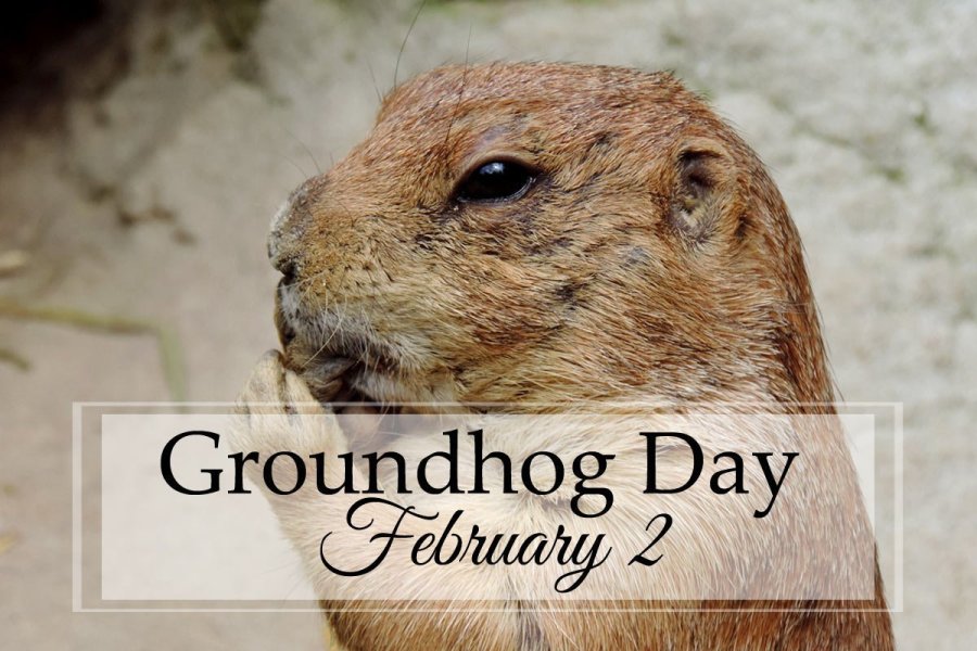 Groundhog Day: A Unit Study
