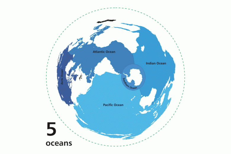 The Ocean: A Unit Study