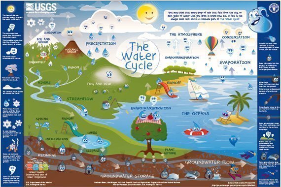 Water Cycle Poster & Placemat {Free!}