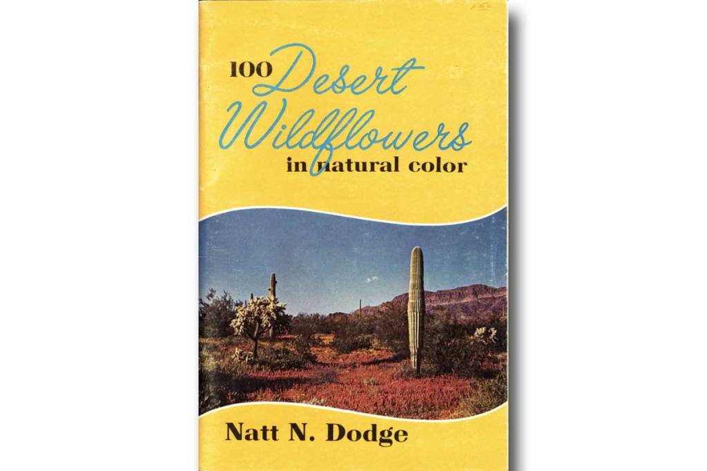 100 Desert Wildflowers {Free eBook}