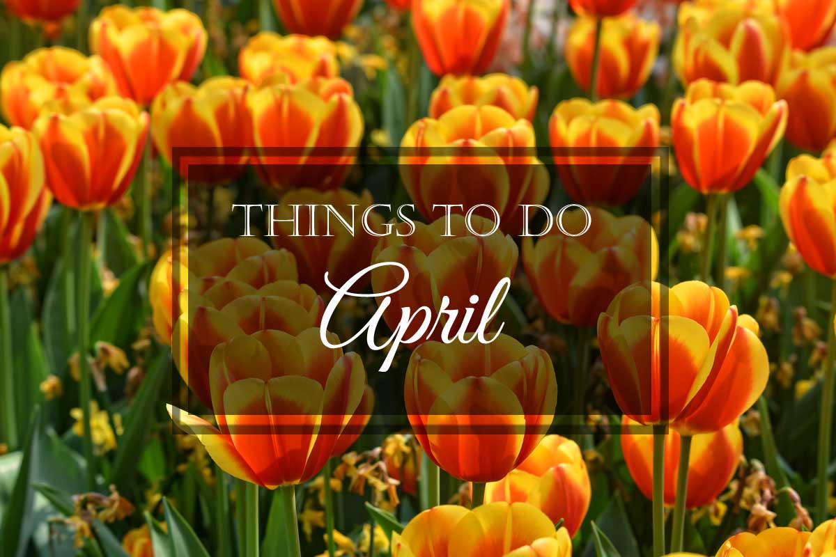 Things to Do: April