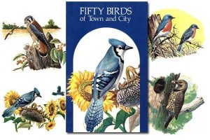 Fifty Birds of Town and City {Free eBook}