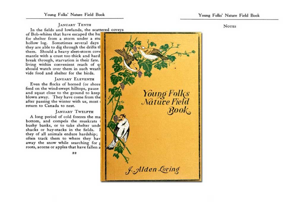 Young Folks’ Nature Field Book ~ Free eBook