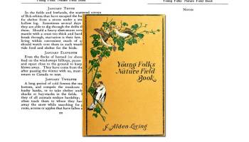 Young Folks' Nature Field Book ~ Free eBook