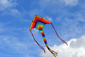 Fun and Wonderful Kites {Free Unit Study}