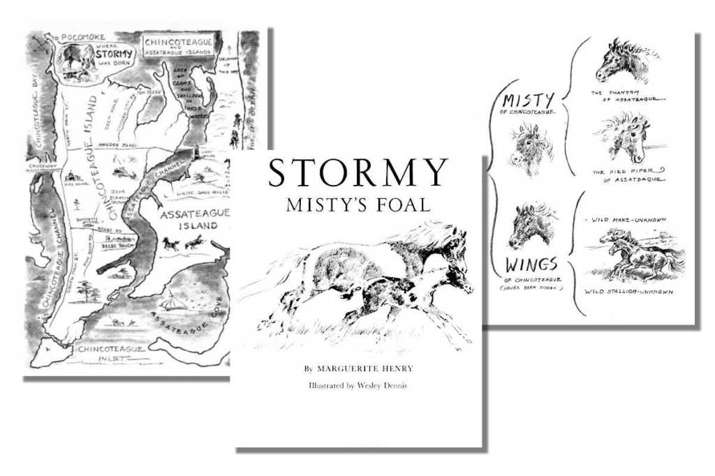 Stormy, Misty's Foal {Free eBook}