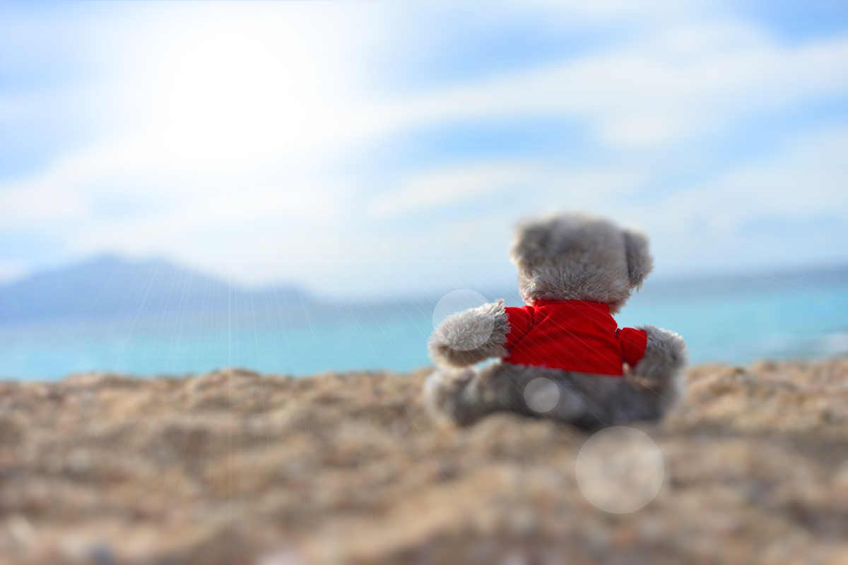 Summer Fun Activity: Teddy at the Beach Cupcakes